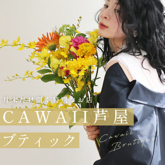 <CAWAII>芦屋ブティック