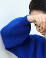 Long sleeve puffy and off-neck knit top