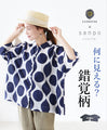 What does it look like? Optical illusion top