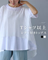 Tシャツ以上シアー付きトップス