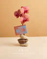 NAZORU EYE & BROW POWDER 01 BASIC BROWN
