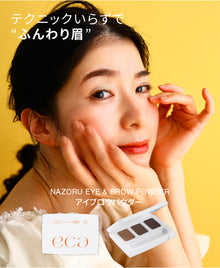  NAZORU EYE & BROW POWDER 01 BASIC BROWN