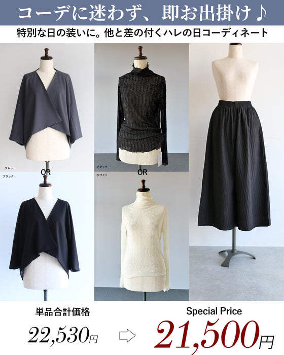 ハレの日のお洒落服　凛として優美なコーデセット