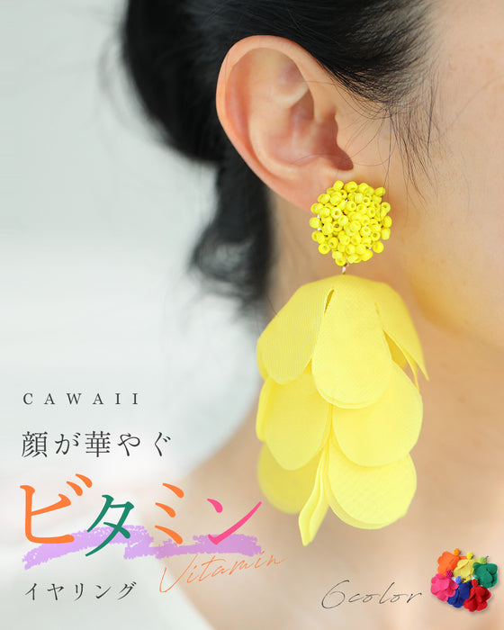 顔が華やぐ　ビタミンイヤリング