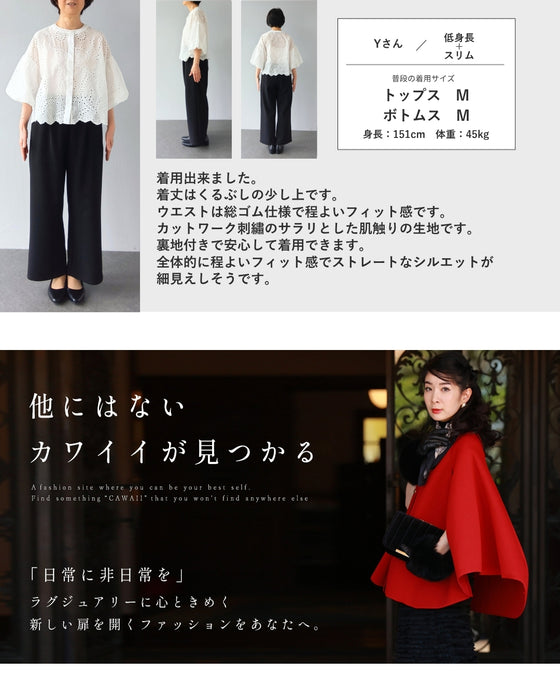 ぽわんとバルーン袖のパンチングレースブラウストップス