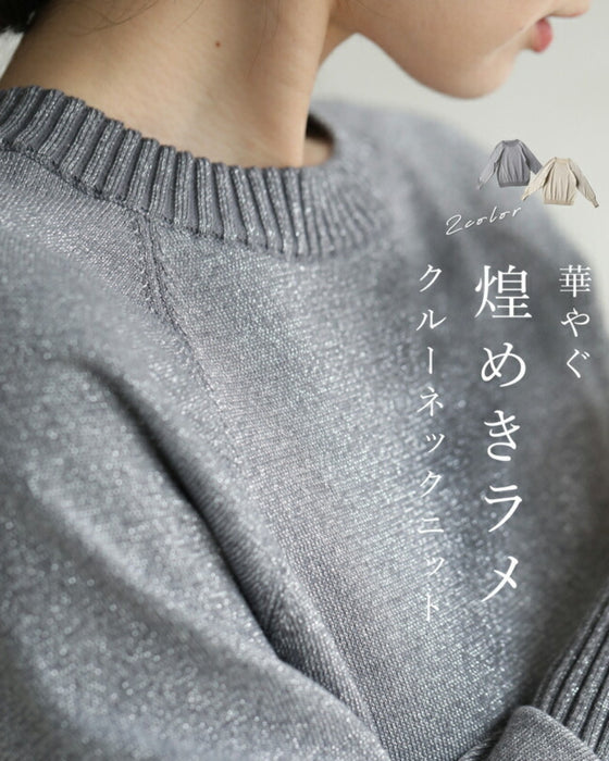 Gorgeous glitter crew neck knit Back to BASICS