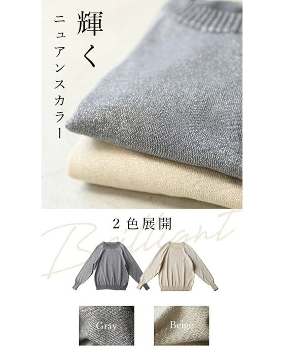 Gorgeous glitter crew neck knit Back to BASICS