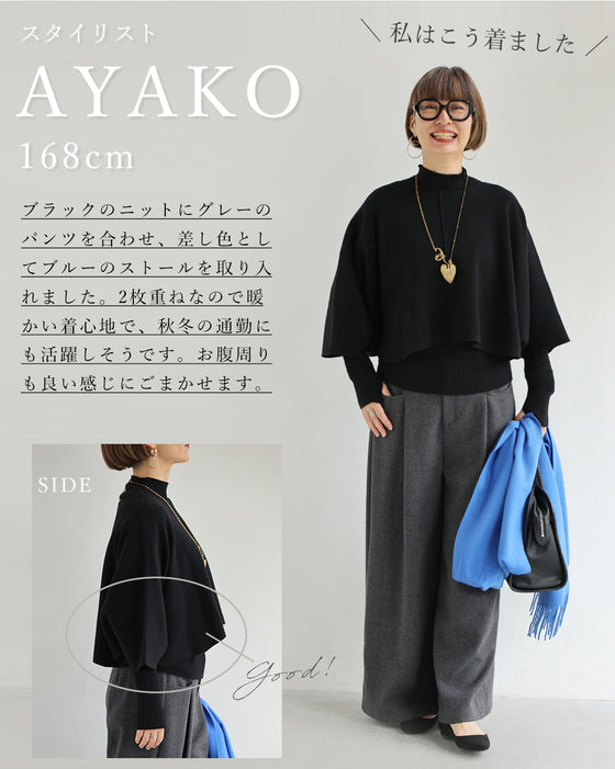 ３箇所 体型カバー ドルマン２点セット