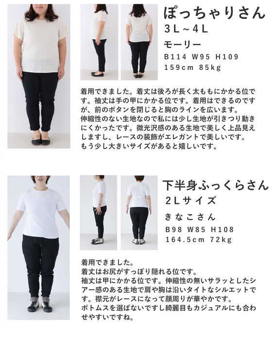 淡いレースを重ねたシアーシャツトップス