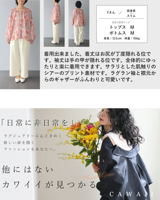 柔らかな日差しを浴びるガーベラシアーブラウストップス