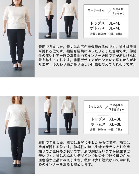 柔らかな日差しを浴びるガーベラシアーブラウストップス
