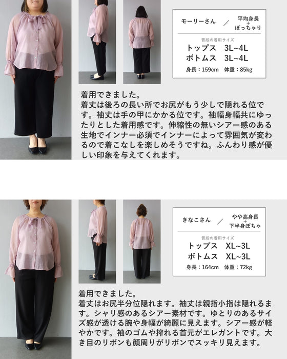 【予約商品】重ねるだけ 二の腕カバー！ シアーポワン袖ブラウス