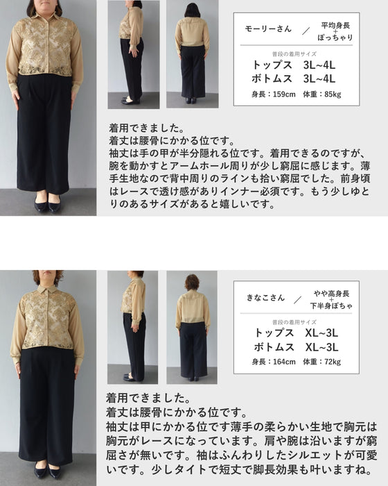 ダマスク刺繍浮かぶ前面シアーシャツトップス