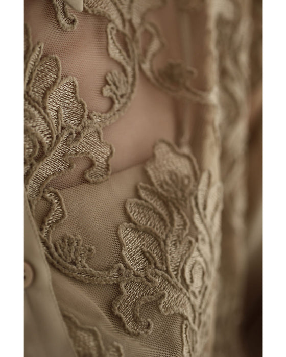 ダマスク刺繍浮かぶ前面シアーシャツトップス