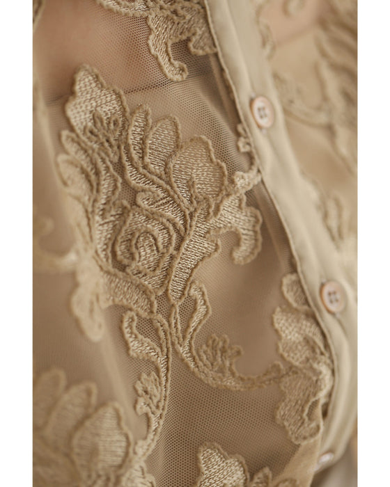 ダマスク刺繍浮かぶ前面シアーシャツトップス