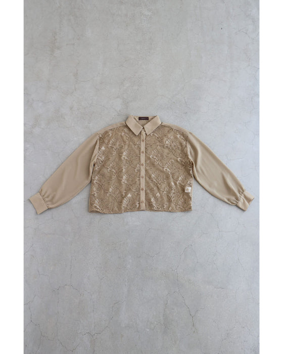 ダマスク刺繍浮かぶ前面シアーシャツトップス