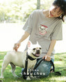 Original OTONAchouchou. Dressed up French bulldog in 