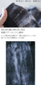 擦れデニム柄がシアーに 渋くて甘い大人のシアートップス