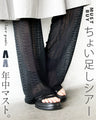 年中マスト ちょい足しシアーフレアパンツ