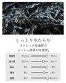 甘くてクールなシアーブラウス
