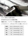 縦ラインで魅せる 洗練モードシャツ