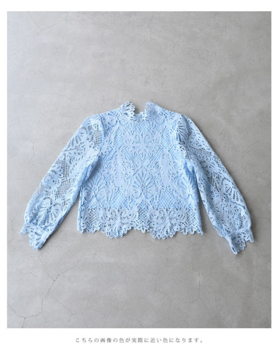 Elegant blue lace back zip pullover top