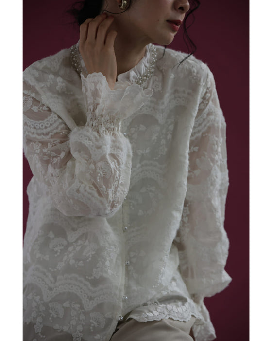 煌めくビジューネックの刺繍シアーブラウストップス