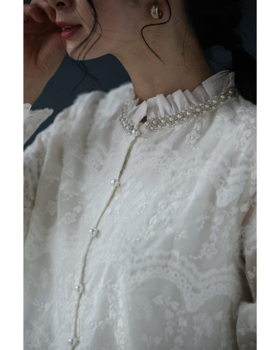 煌めくビジューネックの刺繍シアーブラウストップス