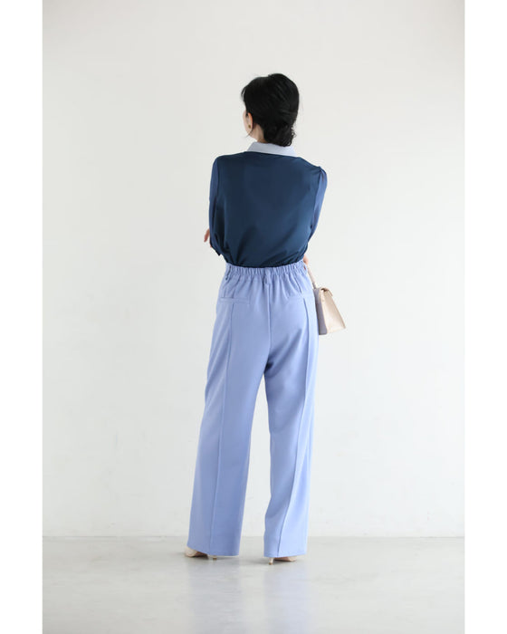 襟に輝くビジューのシアー袖ブラウストップス