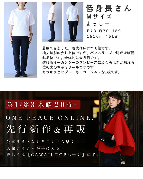 ビジューの粒が降り注ぐふんわりバルーン袖シアーロングワンピース(インナー、リボン付き)