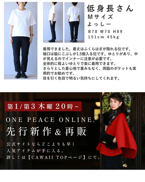 大人の遊び心 夏カラーワンピース