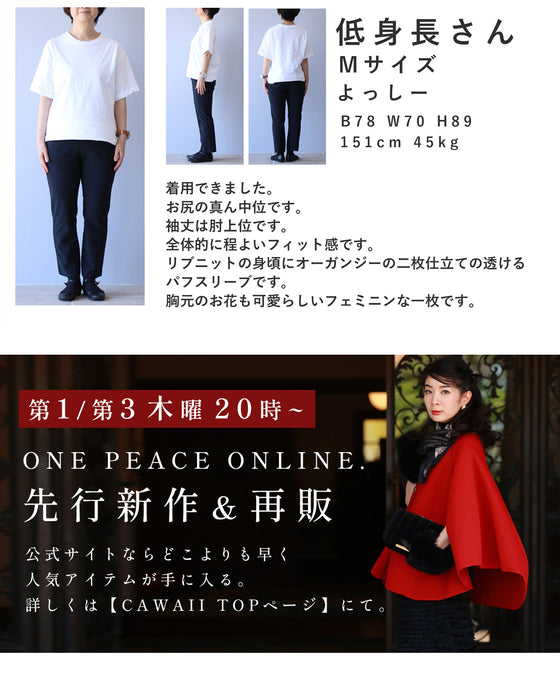 花畑デコルテのシアーパフスリーブカットソートップス