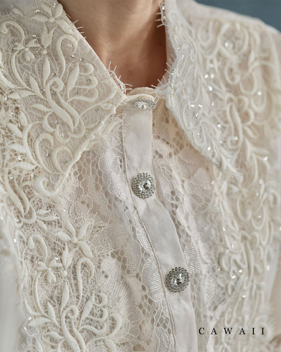 煌めくレース浮き立つシアー袖ブラウストップス