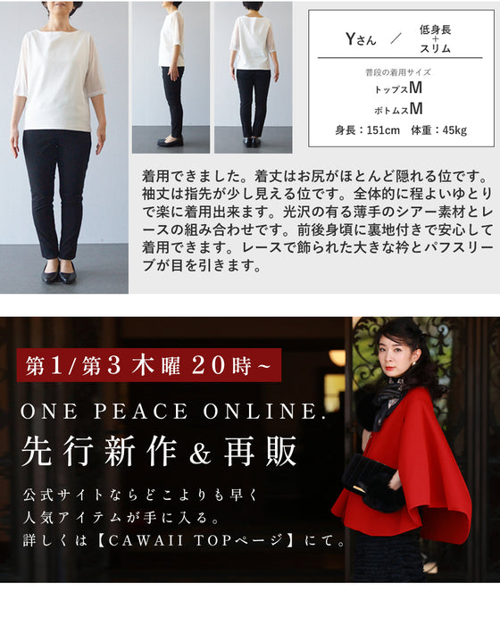 煌めくレース浮き立つシアー袖ブラウストップス