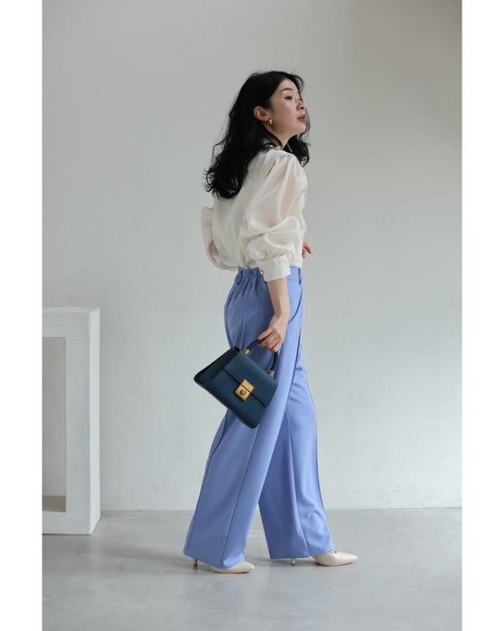 煌めくレース浮き立つシアー袖ブラウストップス