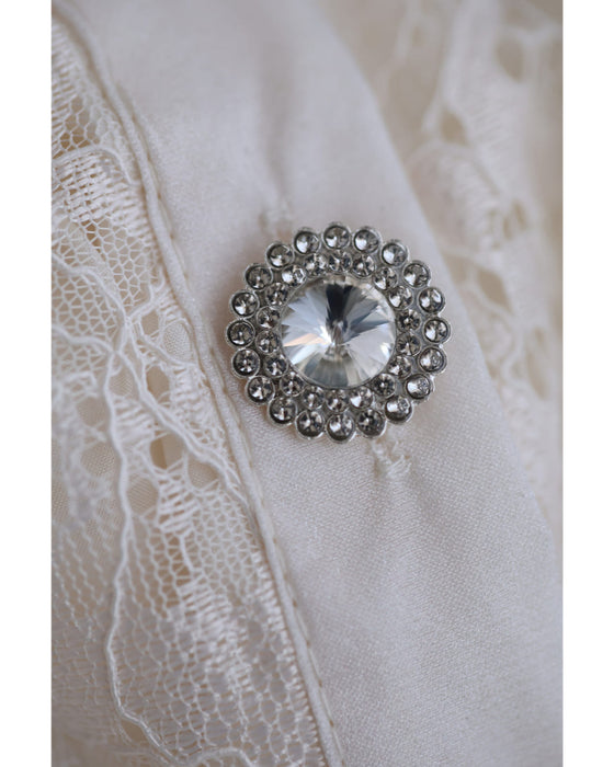 煌めくレース浮き立つシアー袖ブラウストップス