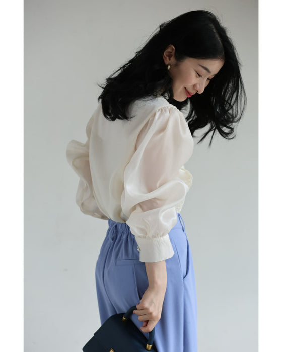 煌めくレース浮き立つシアー袖ブラウストップス