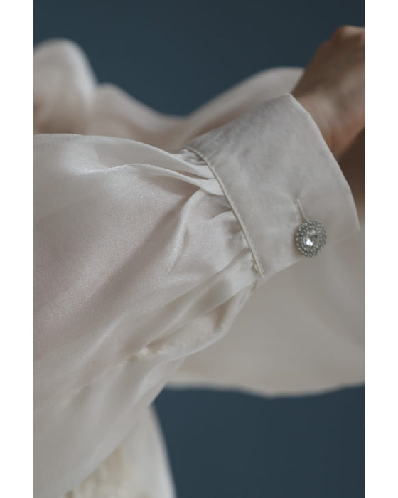 煌めくレース浮き立つシアー袖ブラウストップス