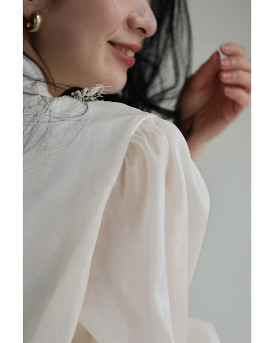 煌めくレース浮き立つシアー袖ブラウストップス