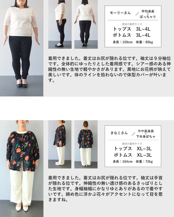 開き始めたチューリップのシアーブラウストップス