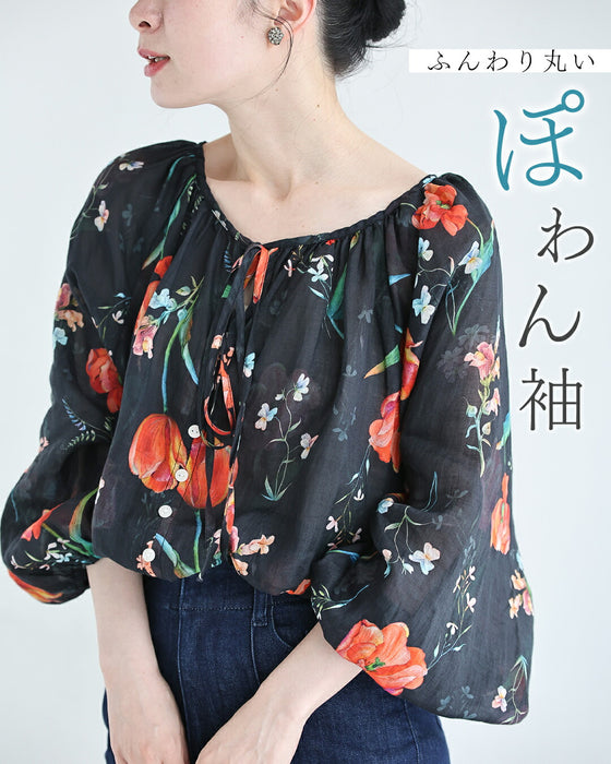 開き始めたチューリップのシアーブラウストップス