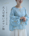 青空舞う蝶々刺繍エアリーブラウストップス