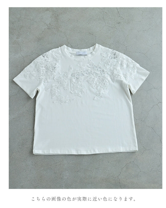 デコルテに広がるレースTシャツトップス