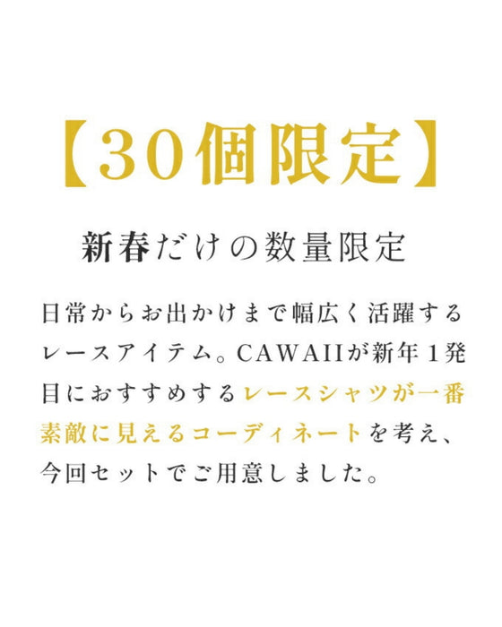 オケージョンセット