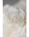 A voluminous bouquet skirt wrapped in rose flowers