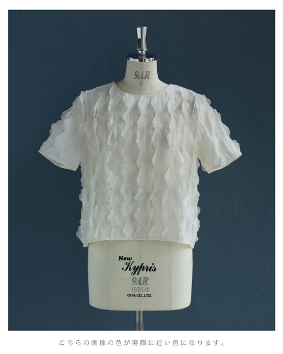 ひらひら雲が浮かぶクラウドブラウストップス