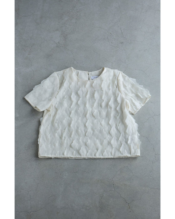 ひらひら雲が浮かぶクラウドブラウストップス