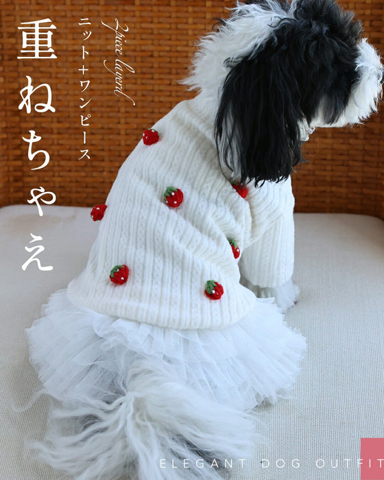 重ねて着るワンコ服 2点セット【set】