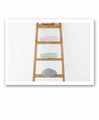 (Green) Spring color striped top