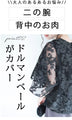 【セール商品返品交換不可】流れる刺繍レースのドルマンレーストップス（ブラック/ネイビー）
